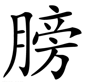 膀